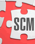 Internet-based solutions for the SCM: case UNITEC